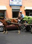 Santo Domingo